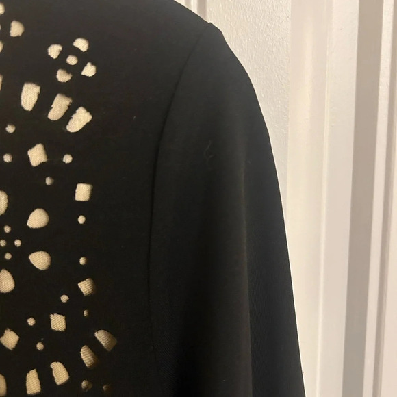 Papillon L dress cut-outs with gold underlay. 4/100 Talbots  RL Max S and Pap - Picture 6 of 11